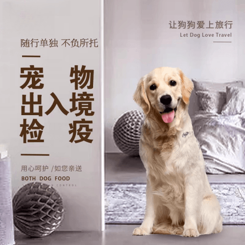 阜阳市宠物托运到哥伦比亚猫狗宠物入境规定和