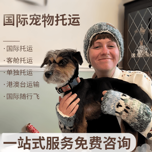 阜阳市国际宠物托运到阿根廷宠物入境规定和要