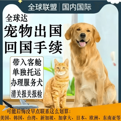 阜阳市宠物托运到柬埔寨宠物入境规定和要求