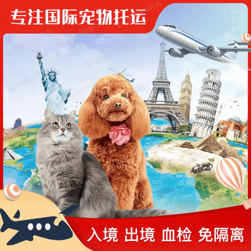 阜阳市宠物托运到美国宠物入境最新规定和要求