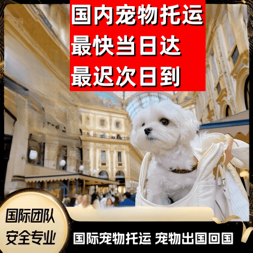 阜阳市到澳大利亚（澳洲）宠物入境规定和要求